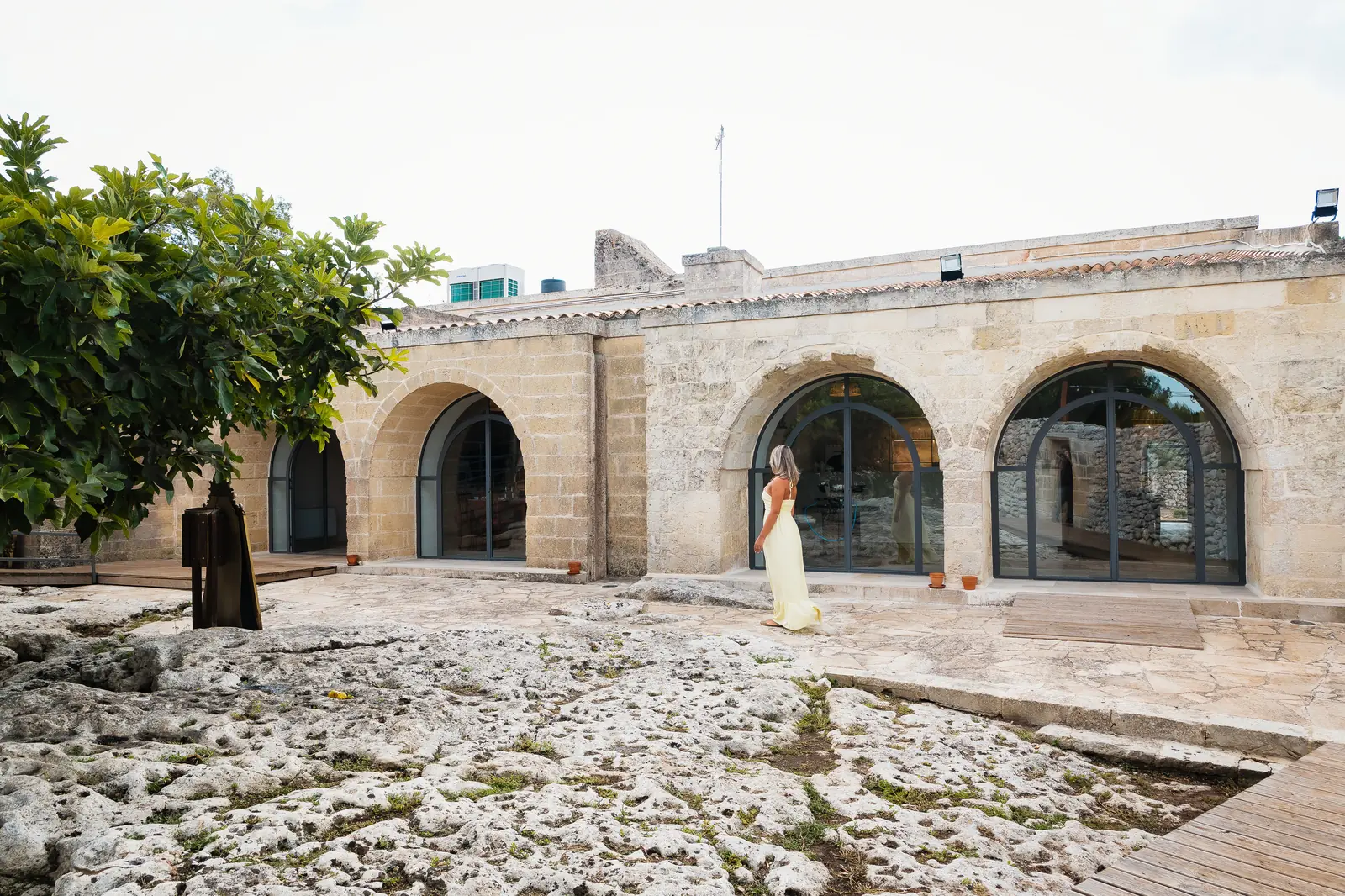 La corte in pietra di Masseria Serra di Torcito, con gli archi e il fico